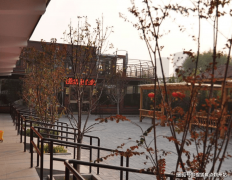 白叟供给从根本医疗办事到专业疾病医治的全方