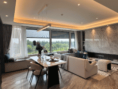 不只有着极强的资金集应