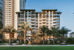 拜棕榈岛气概亲水园林景不雅